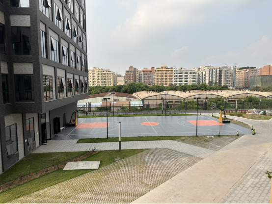 1735019411893.jpg 1735019411893.jpg